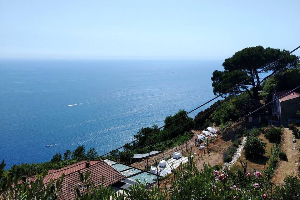 Sara_gioannini_art