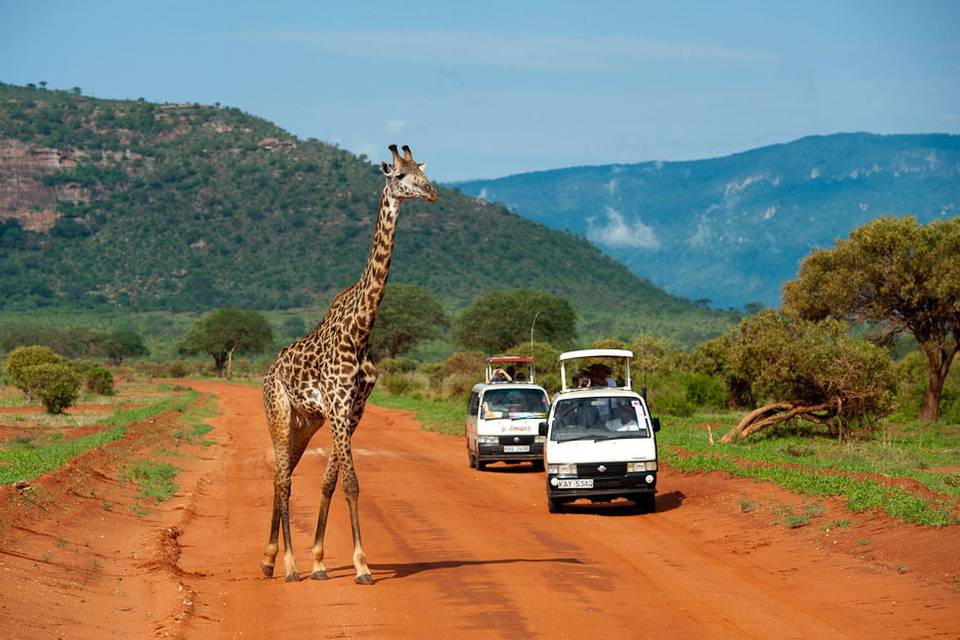 Kenya Safari & mare