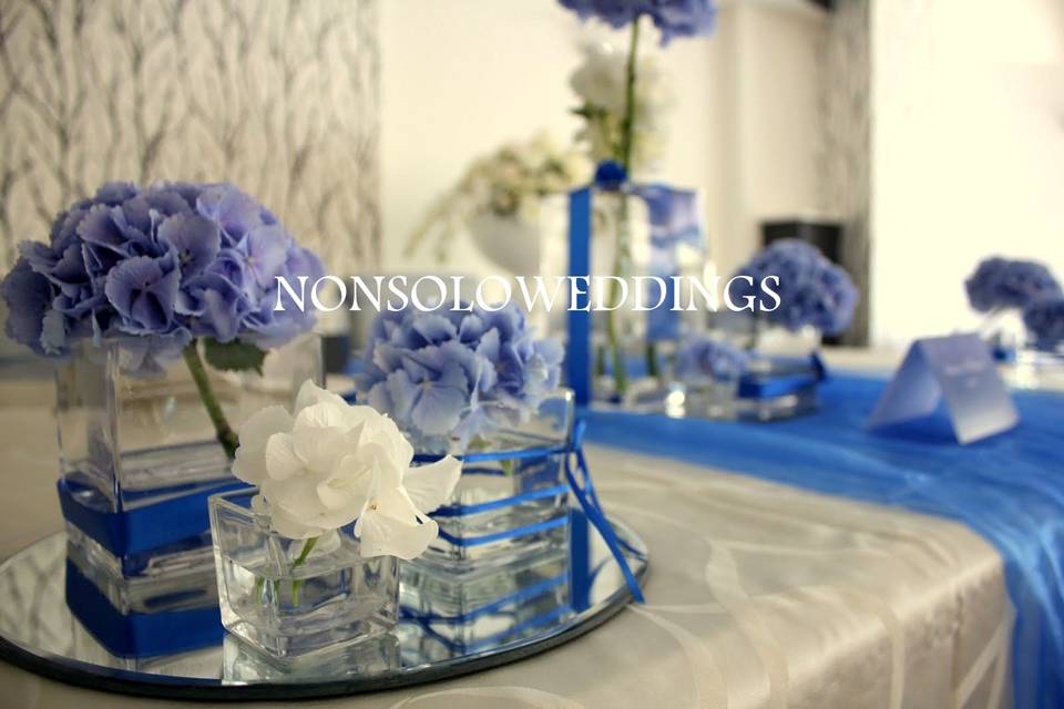 Silvia Russo Party Planner