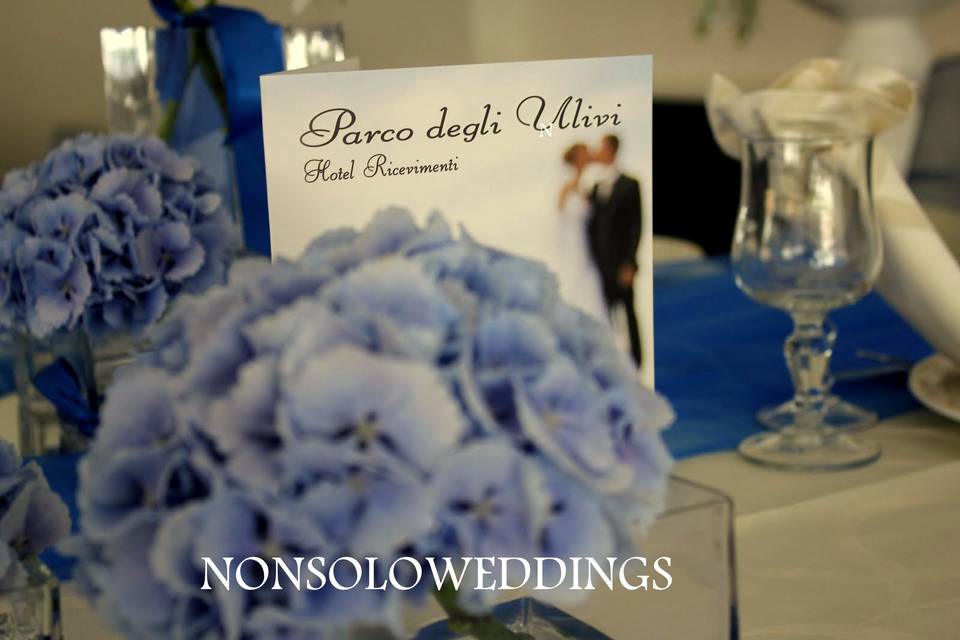 Nonsoloweddings