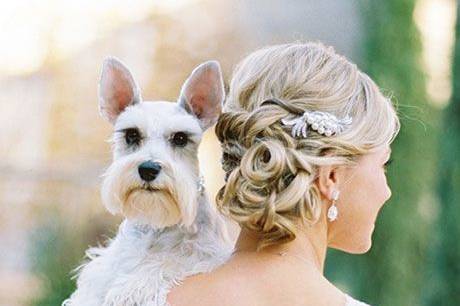 Love And Pets Wedding