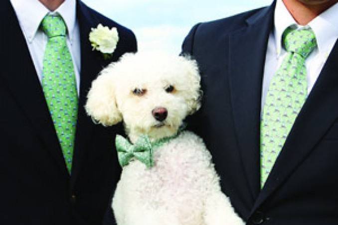 Love And Pets Wedding