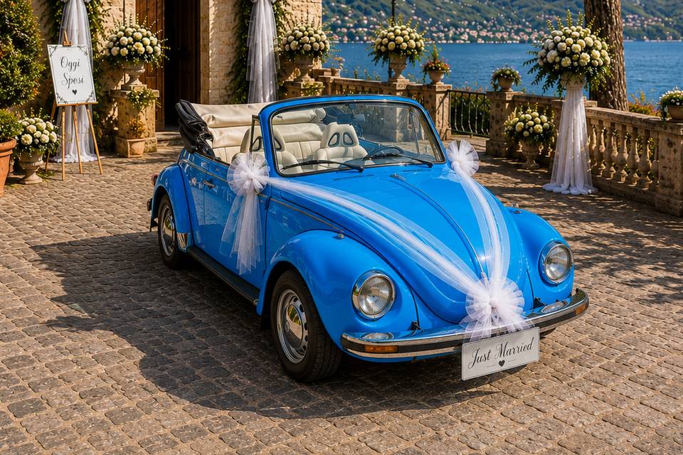 Maggiolino azzurro