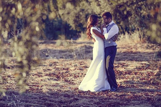 Matrimoni oin campo di ulivi