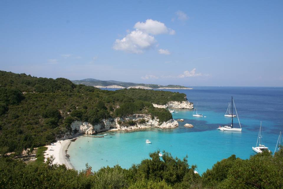 Antipaxos