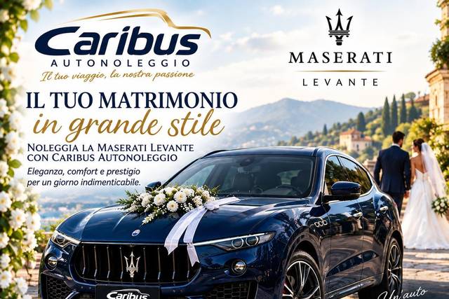 CariBus