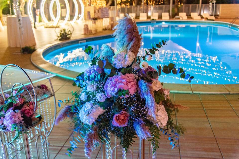 Orchidea garden