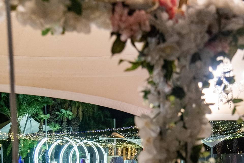 Orchidea garden