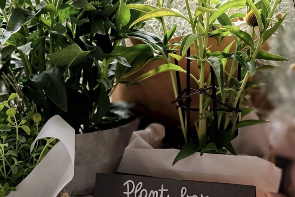 Plant bar