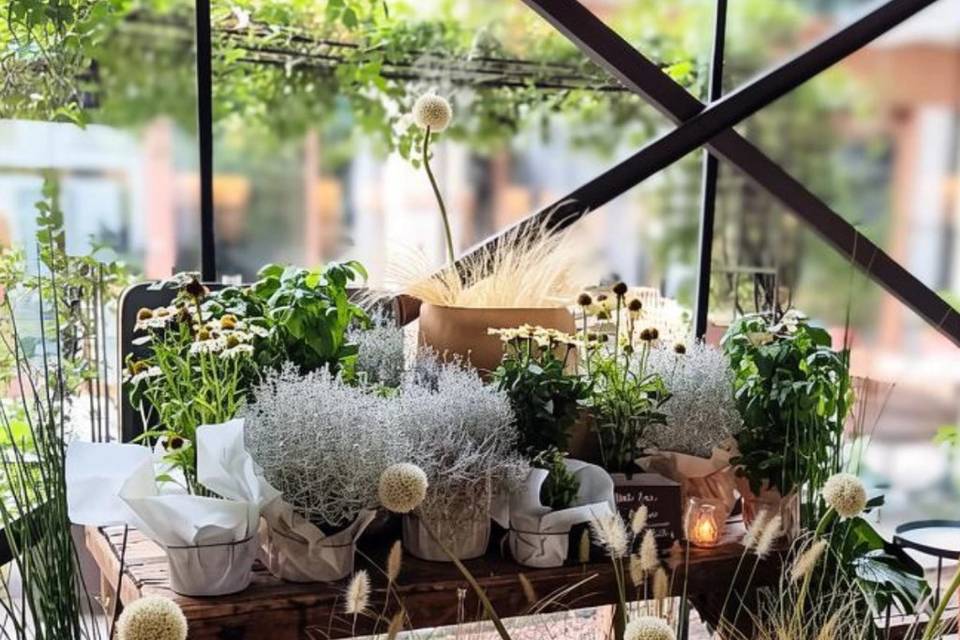 Plant bar