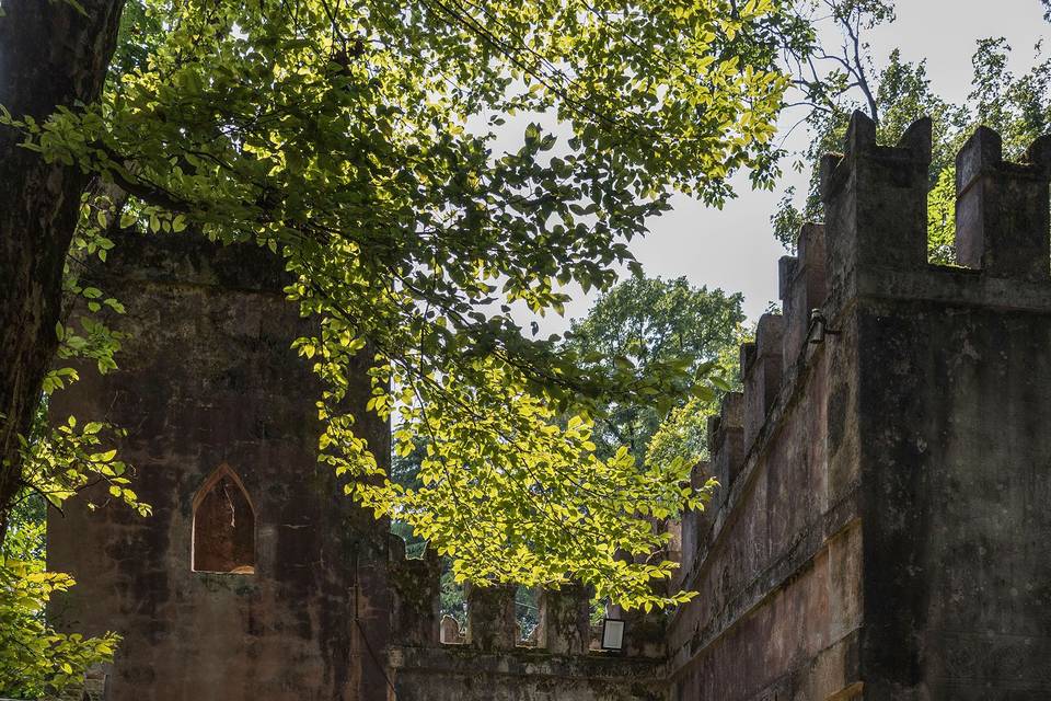 Fotografie naturali matrimonio