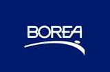 Borea