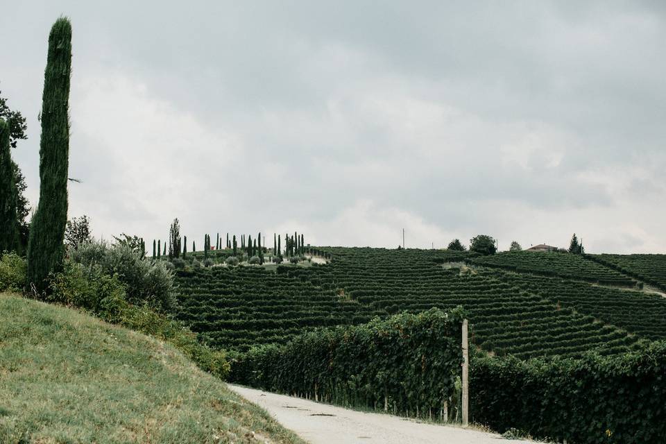 Langhe