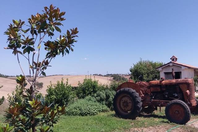 Locanda il Pagliaccetto