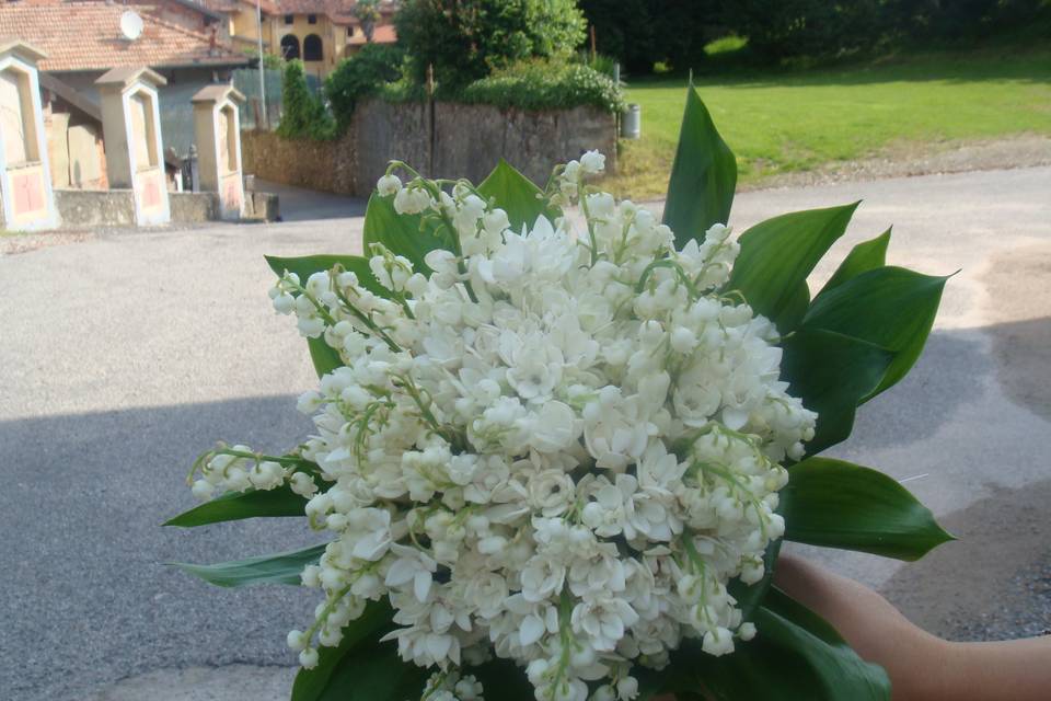 Bouquet di mughetti e bovardia