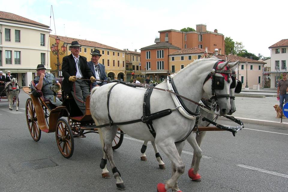 Manifestazione in costume