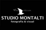 Montalti logo