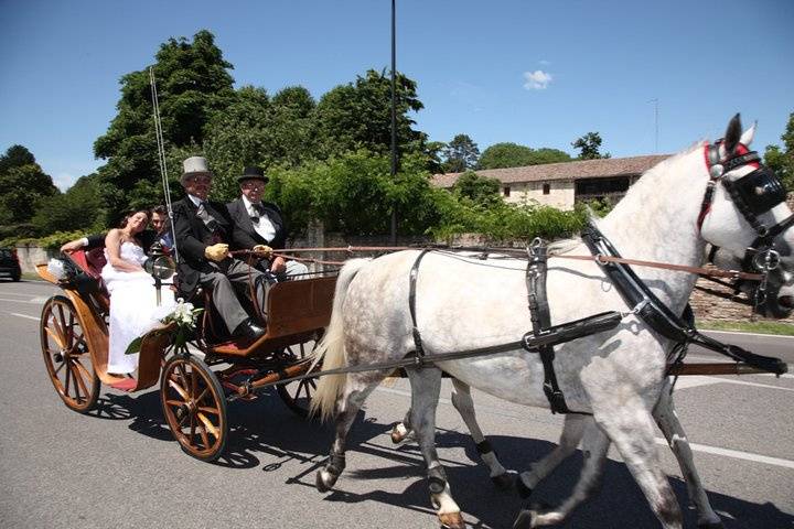 Matrimonio a Dolo (Ve)