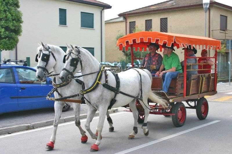 Festa paesana a Murelle (Pd)