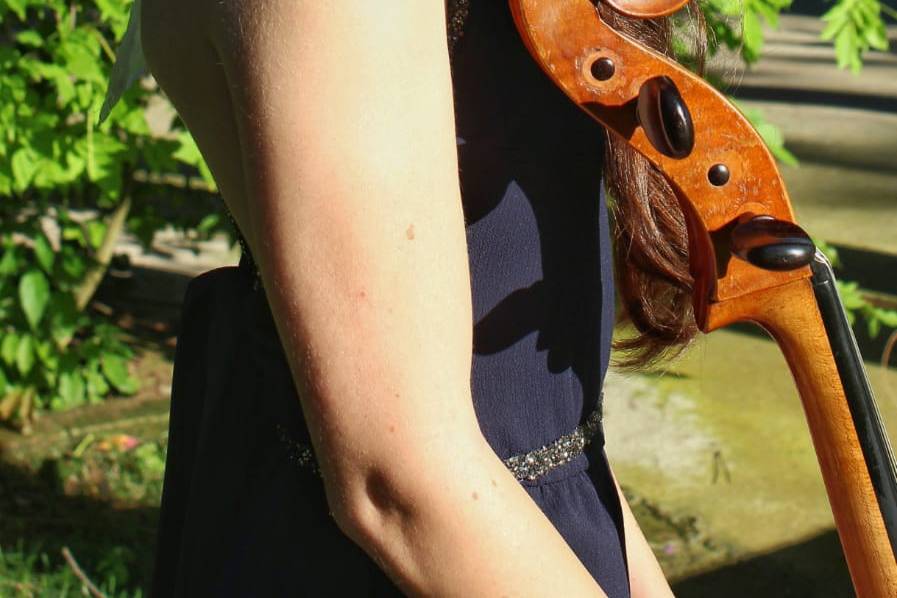 Violoncello