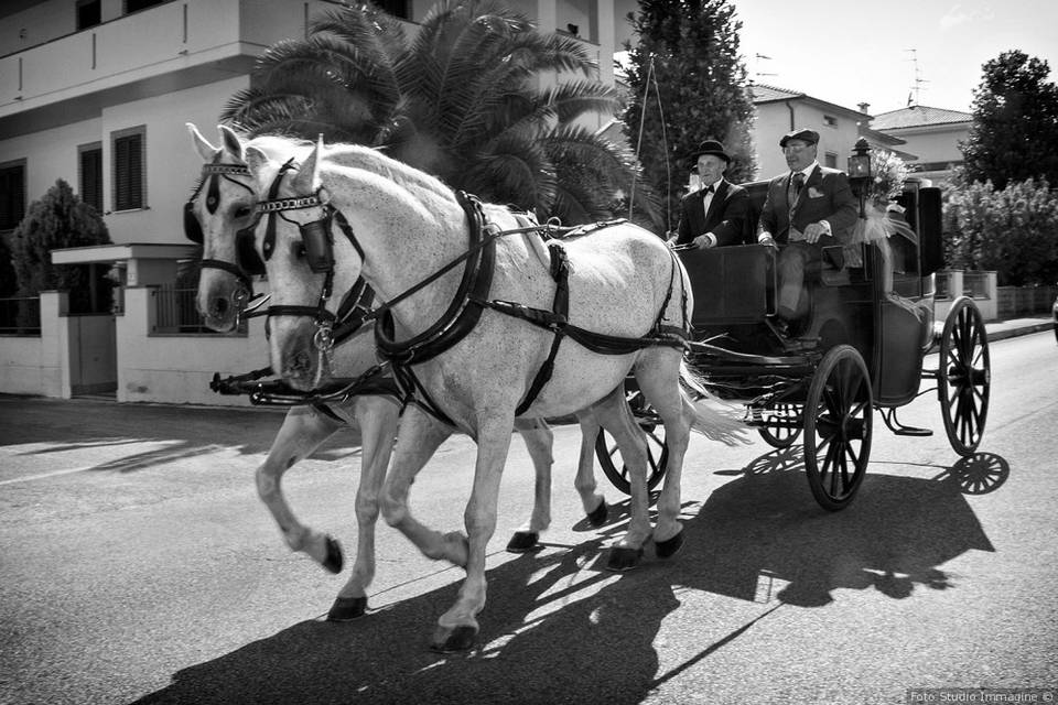 Carrozza con cavalli