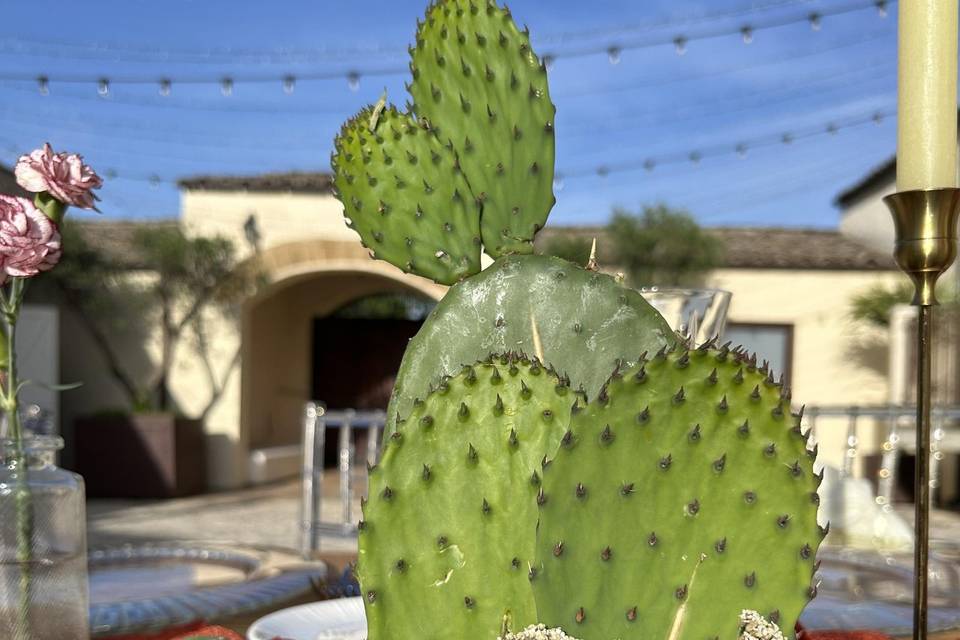 Masseria