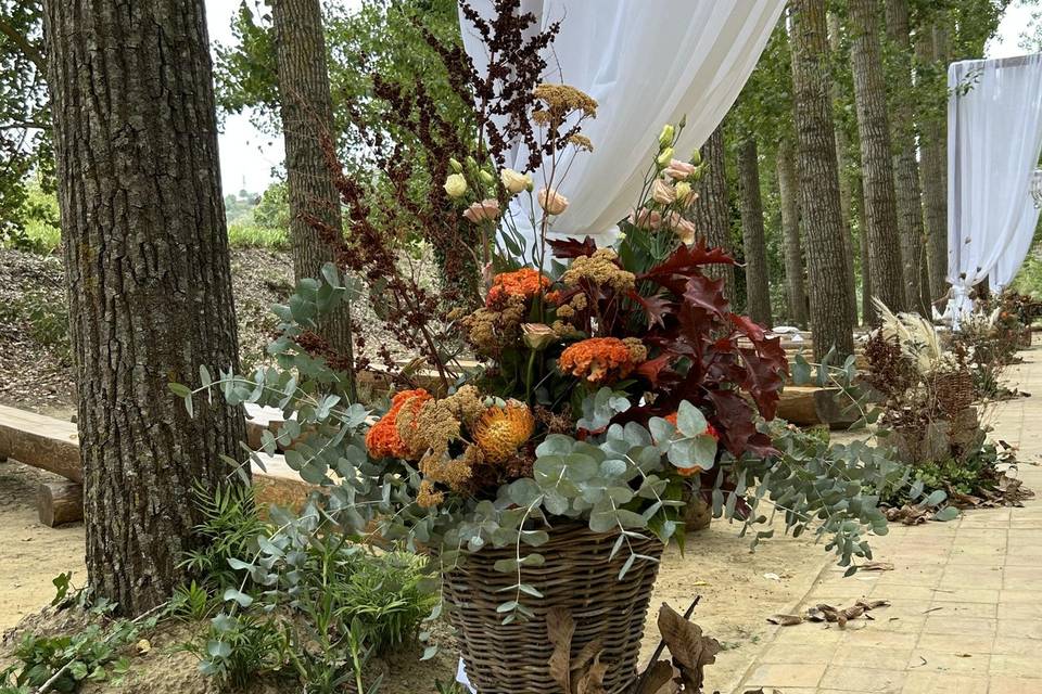 Autunno