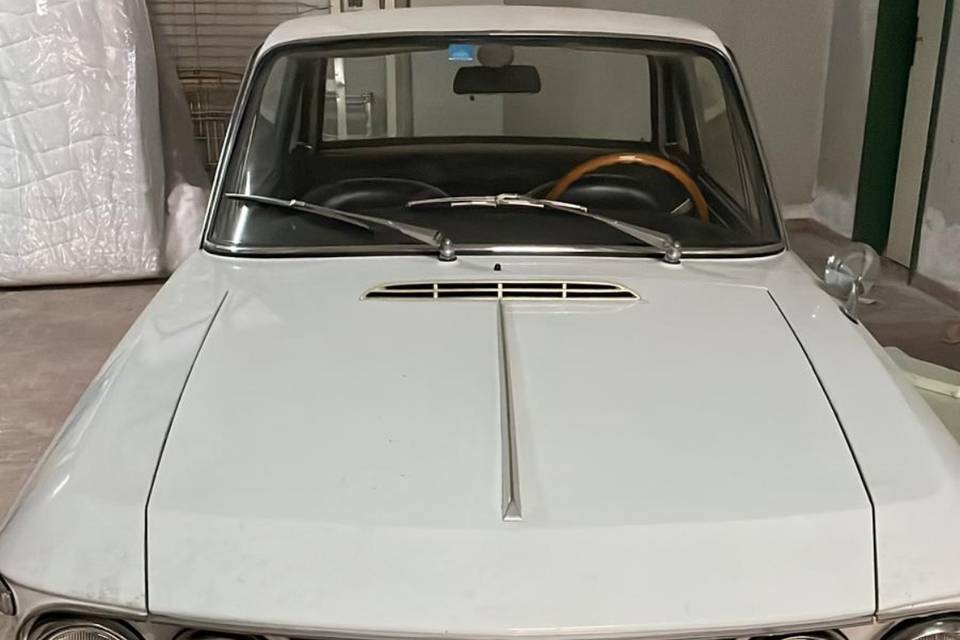 Fulvia rally