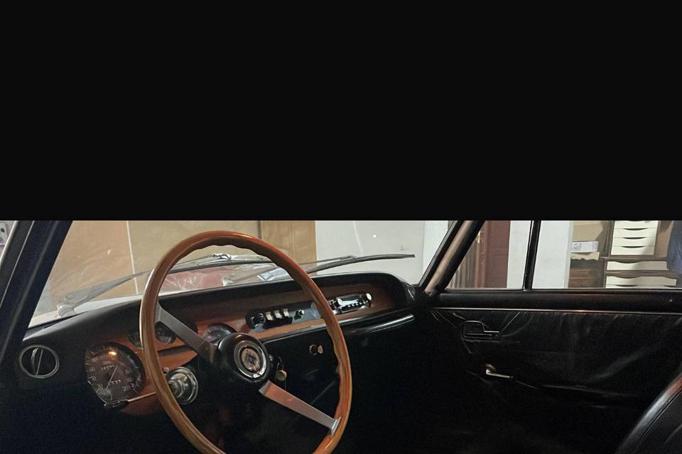 Fulvia rally