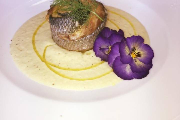 Filetto branzino su crema di f