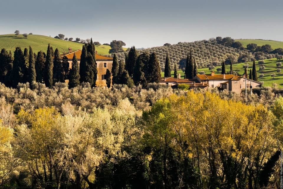 Panorama dalla steccaia