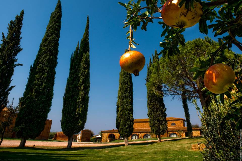 Piazzetta con antica stalla