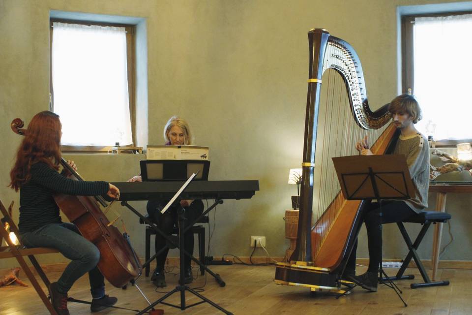 Arpa, piano e violoncello