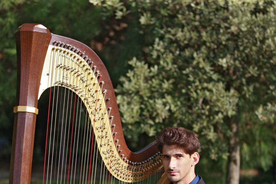 Lorenzo D'Alessio Arpista