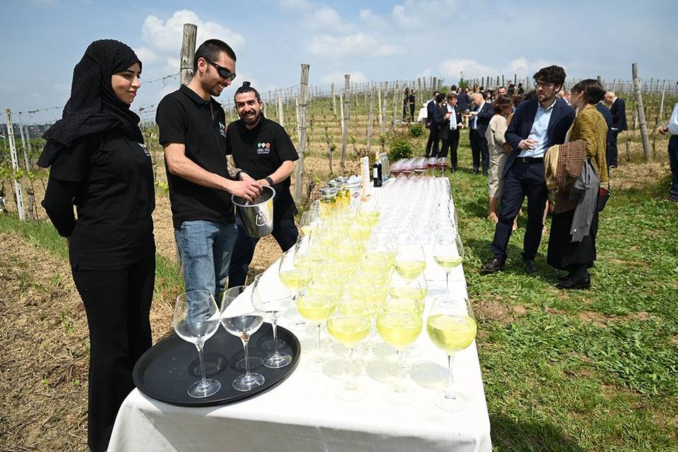 Aperitivo di benvenuto in vign