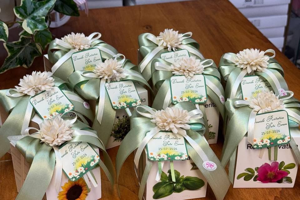 Bomboniera EcoCubo Green da Pi