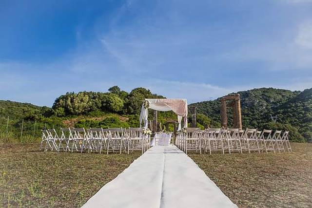 Congia Flowers and Events