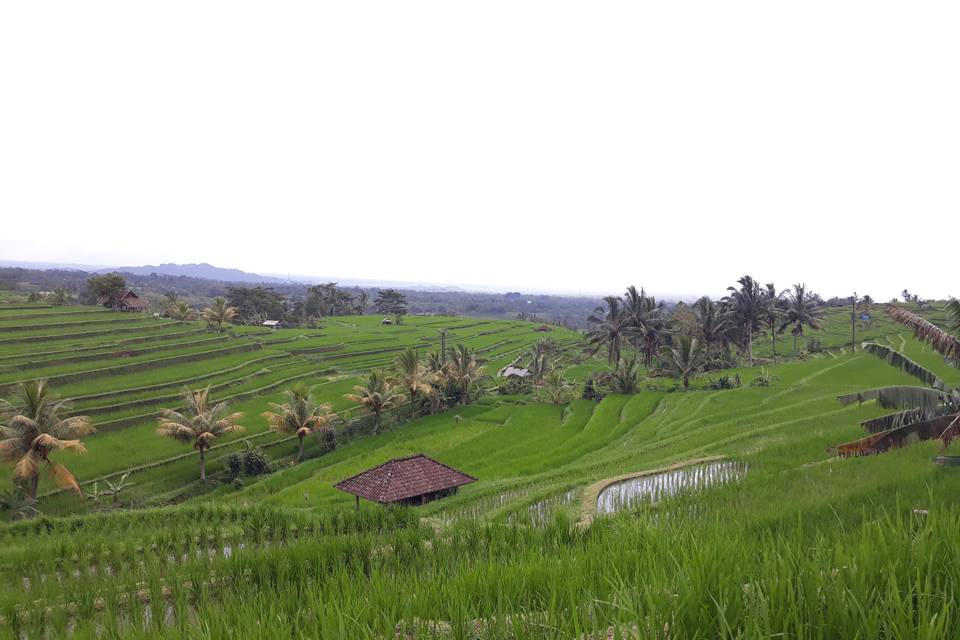 Bali - indonesia