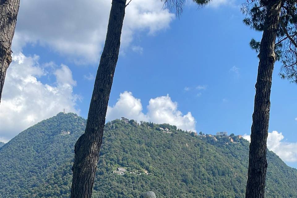 Il barbaverde
