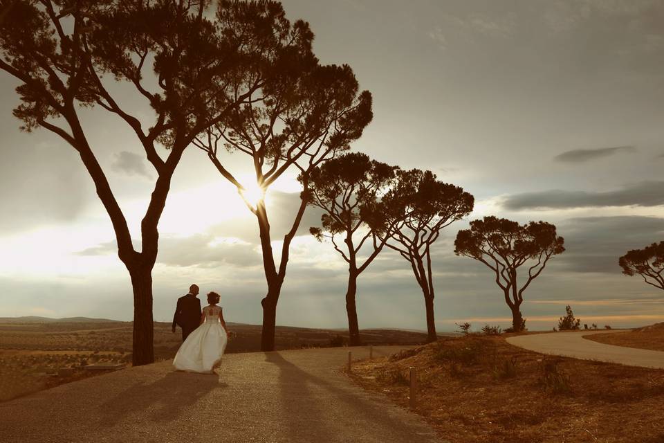 Costantino Mansi fotografo