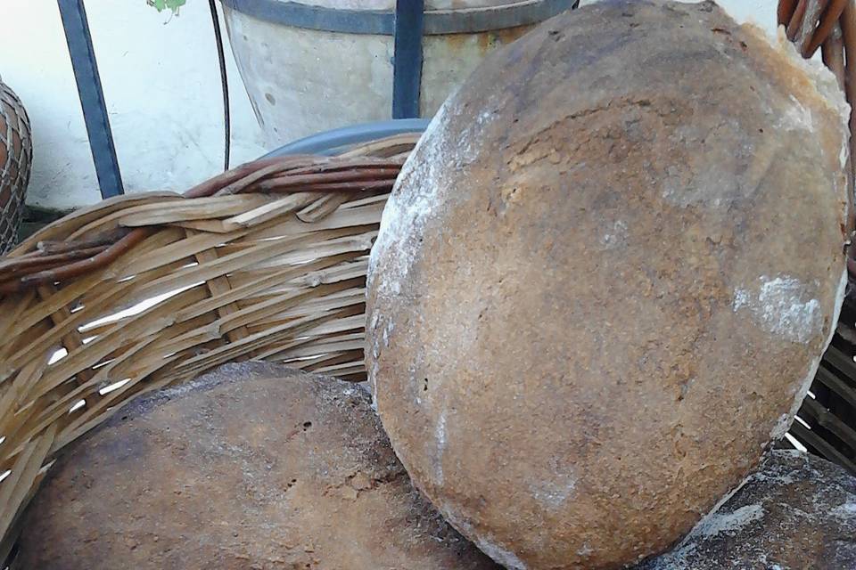 Pane di Tumminia