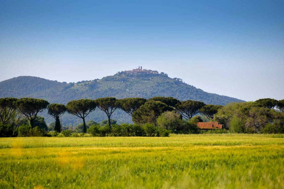 Vista dalla nostra struttura