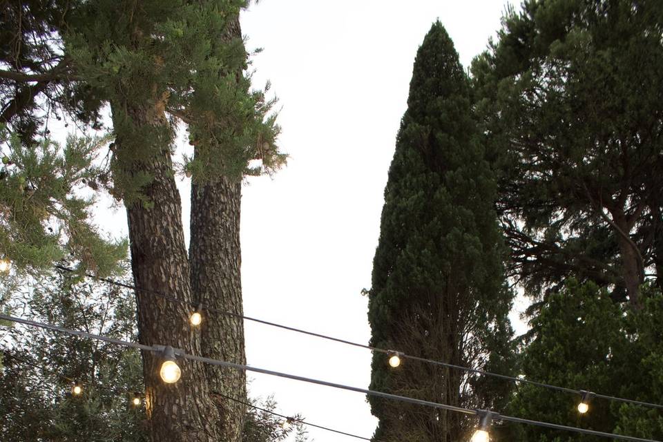 Allestimenti