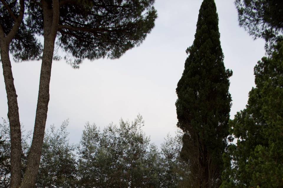 Allestimenti