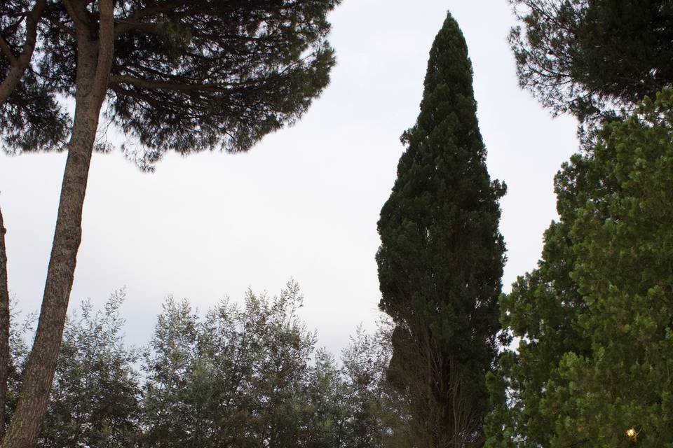 Allestimenti