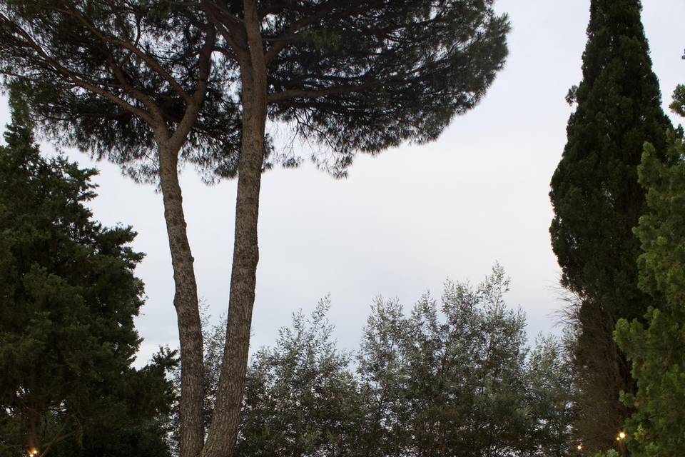Allestimenti