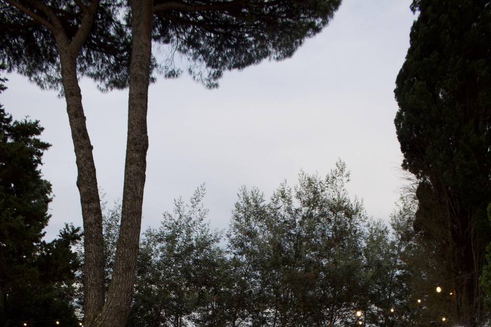 Allestimenti
