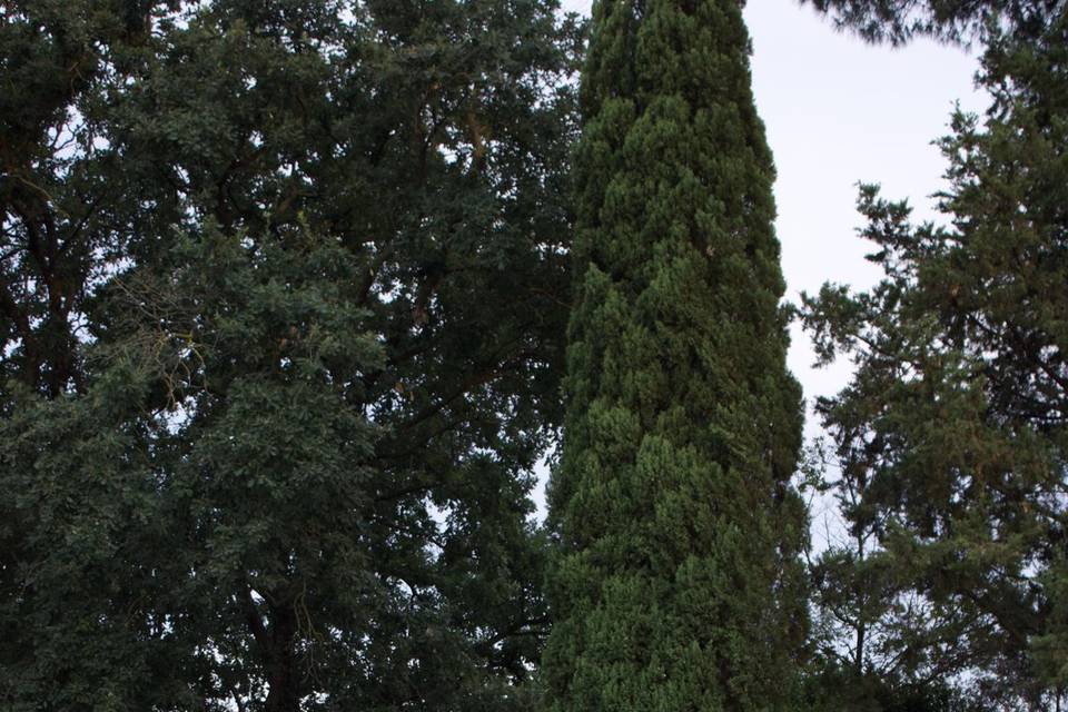 Allestimenti