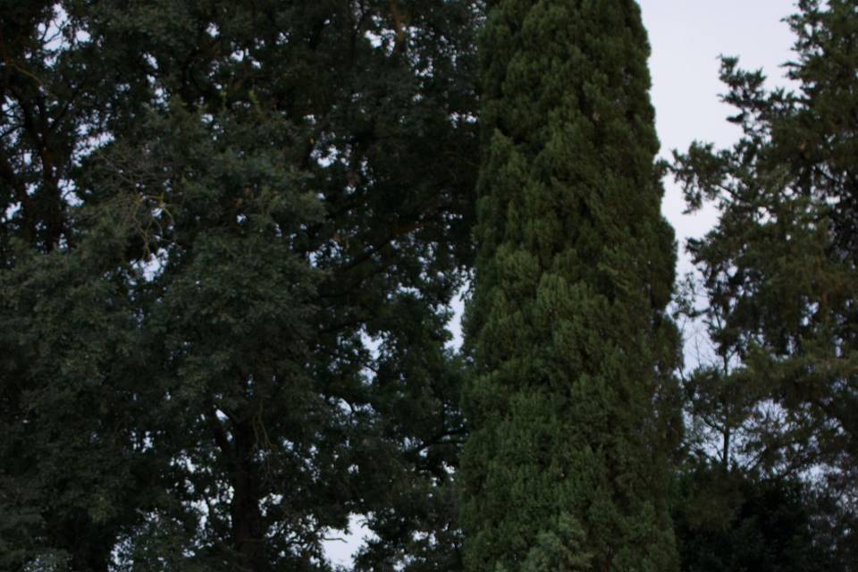Allestimenti