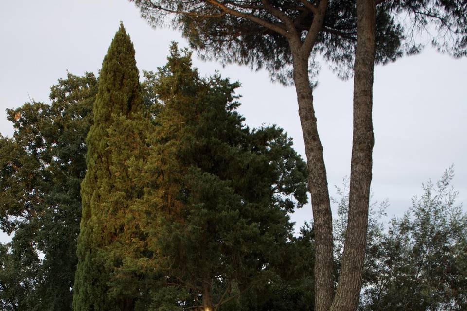 Allestimenti